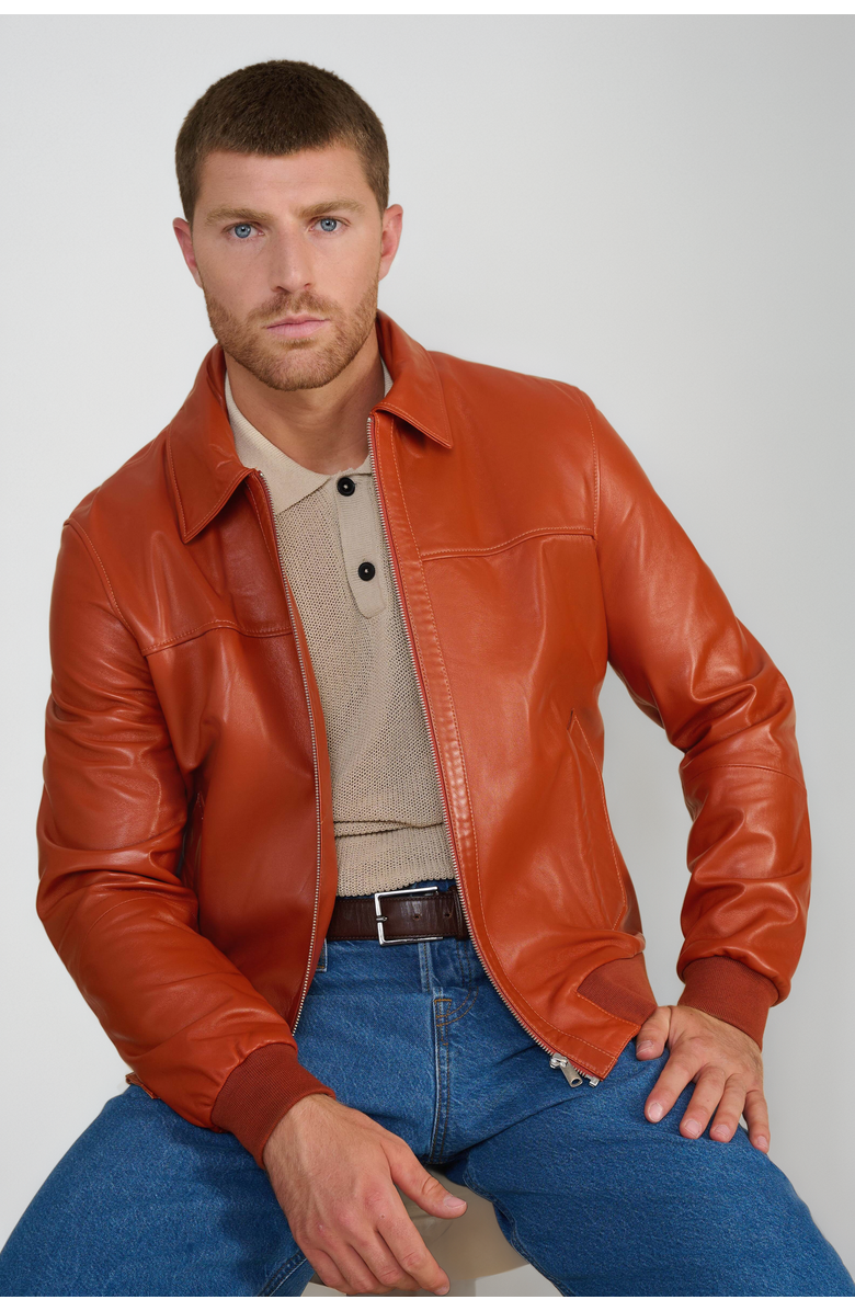 Furniq UK Mason Leather Bomber Jacket, Alternate, color, Whiskey