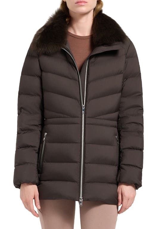 Moose Knuckles Belle Cote Genuine Shearling Collar Water Repellent 800 Fill Power Down Puffer Jacket In Brown