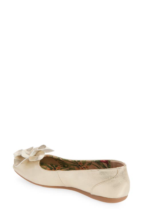 B O C By Børn Peony Flat In Gold