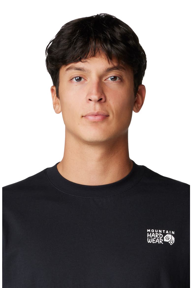 Box Logo Graphic T-Shirt, Alternate, color, BLACK