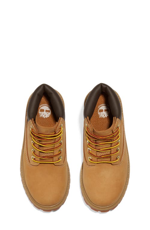 Timberland Kids' Premium 6-inch Waterproof Boot In Wheat