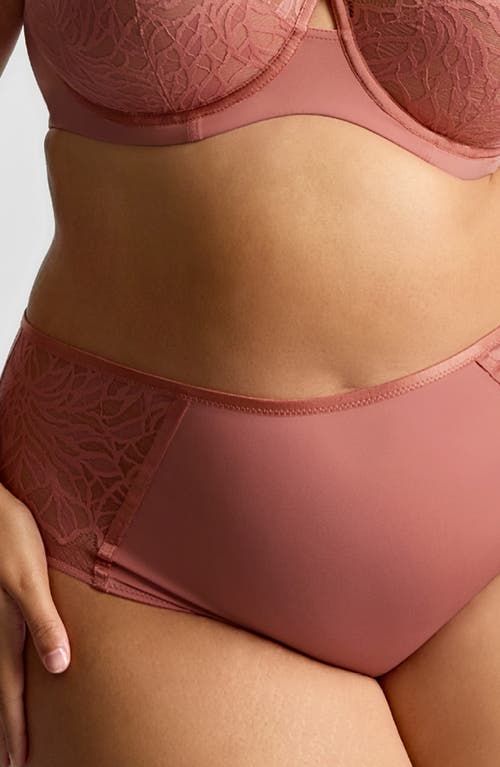 Panache Sophia Lace Cheeky Briefs In Pink