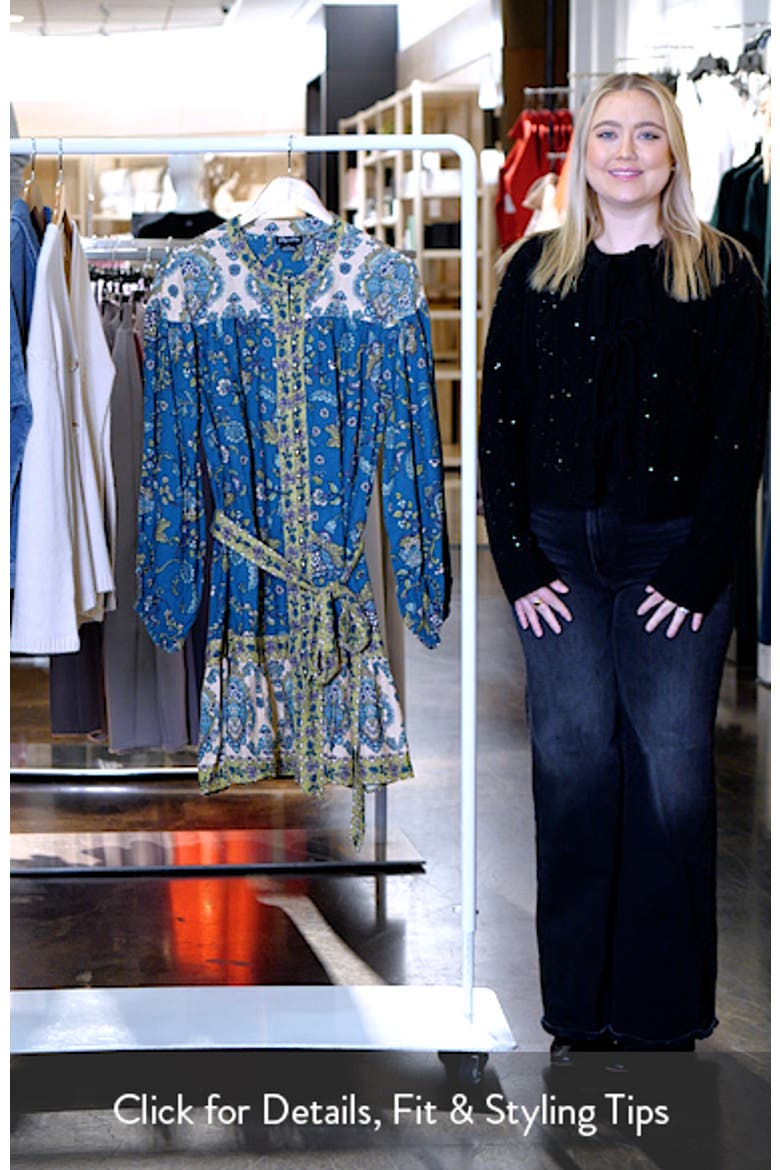 Sable Print Long Sleeve Minidress video
