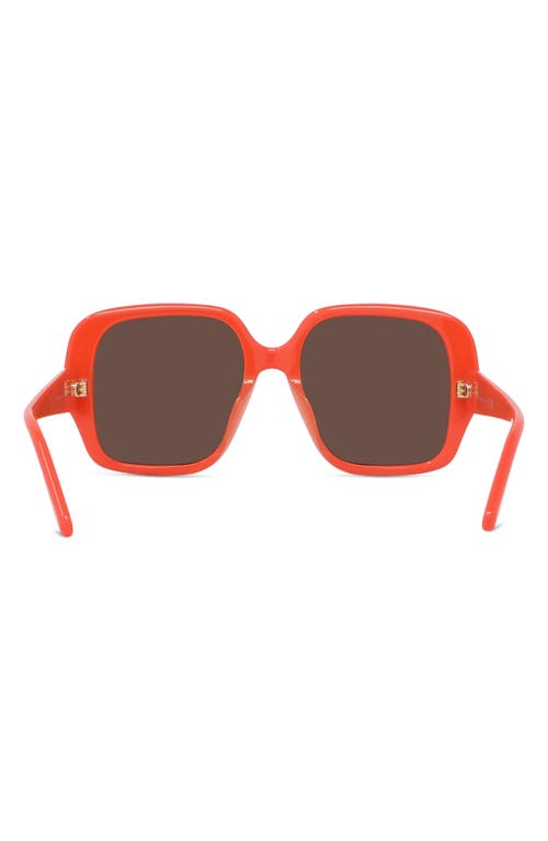 Loewe Thin 54mm Square Sunglasses