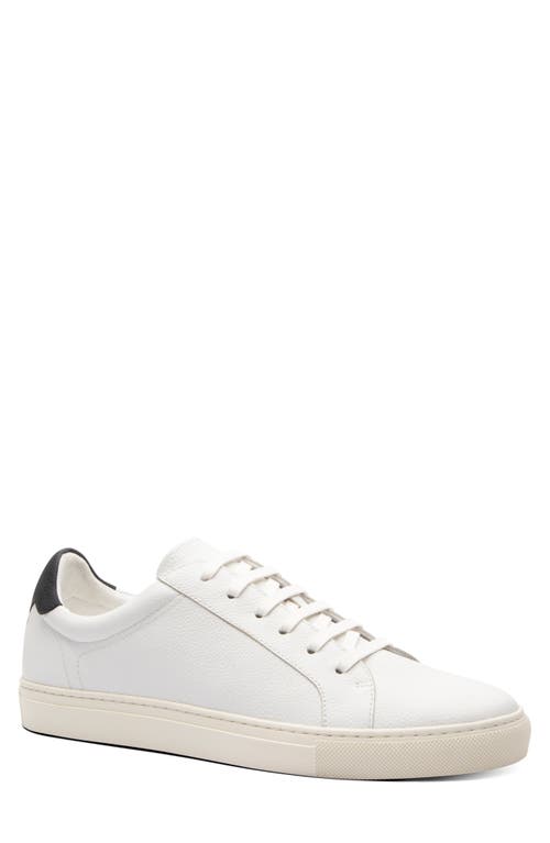 Blake Mckay Jay Low Top Sneaker in White/Navy 