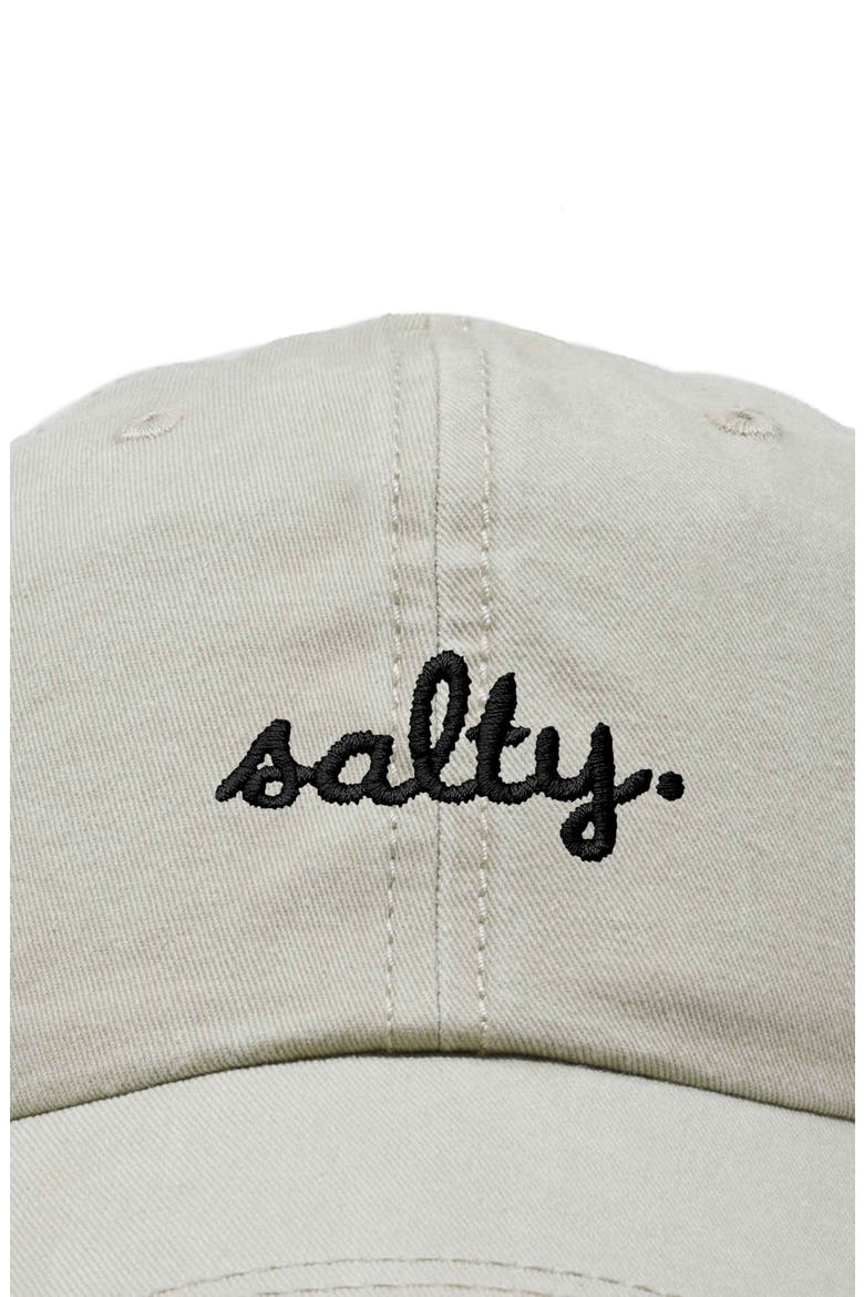 Salty Embroidered Everyday Hat, Alternate, color, Washed Stone White
