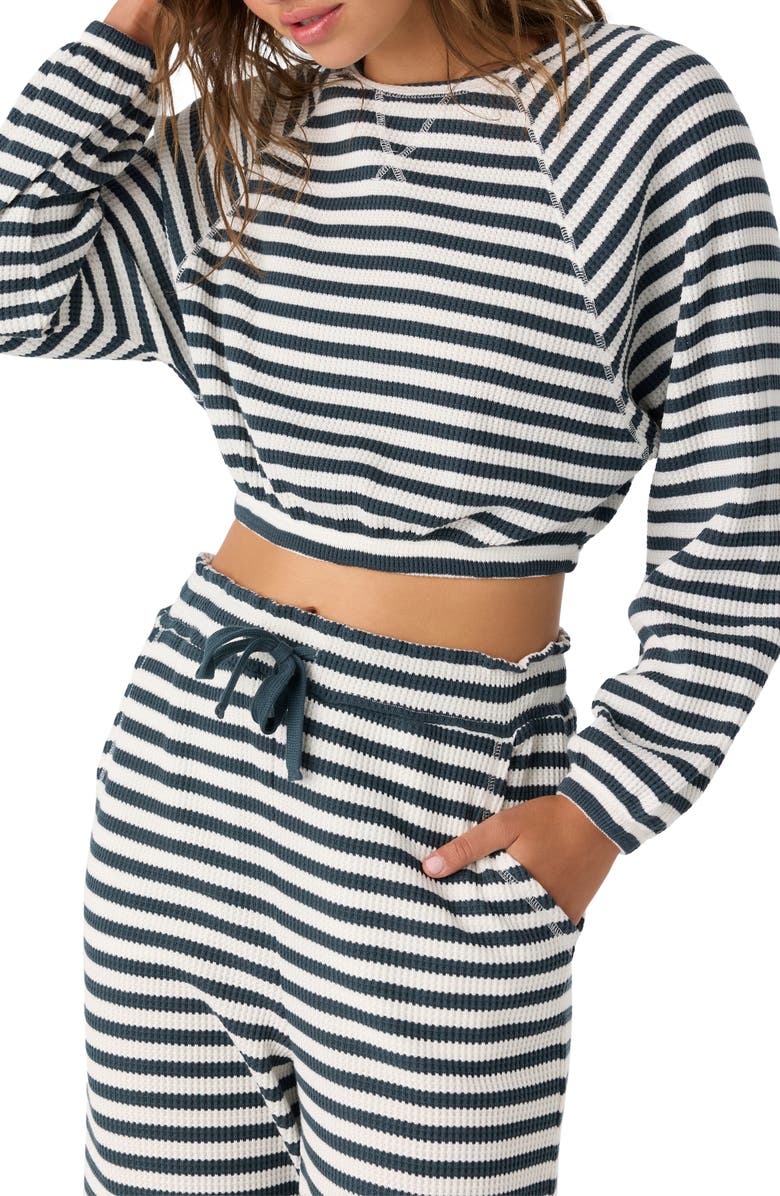 O'Neill Tour Stripe Long Sleeve Crop Top, Alternate, color, Slate