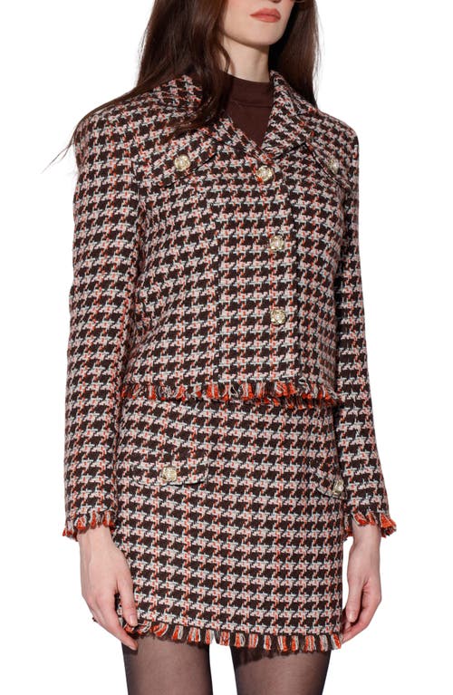 Walter Baker Veronica Tweed Blazer In Multi
