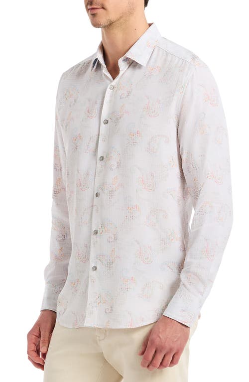 Robert Graham Alibon Long Sleeve Button Down Shirt Tall In White