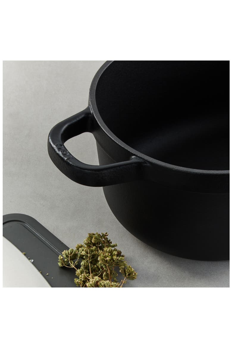 Leo Graphite Enameled Cast Iron Stockpot, Alternate, color, BLACK