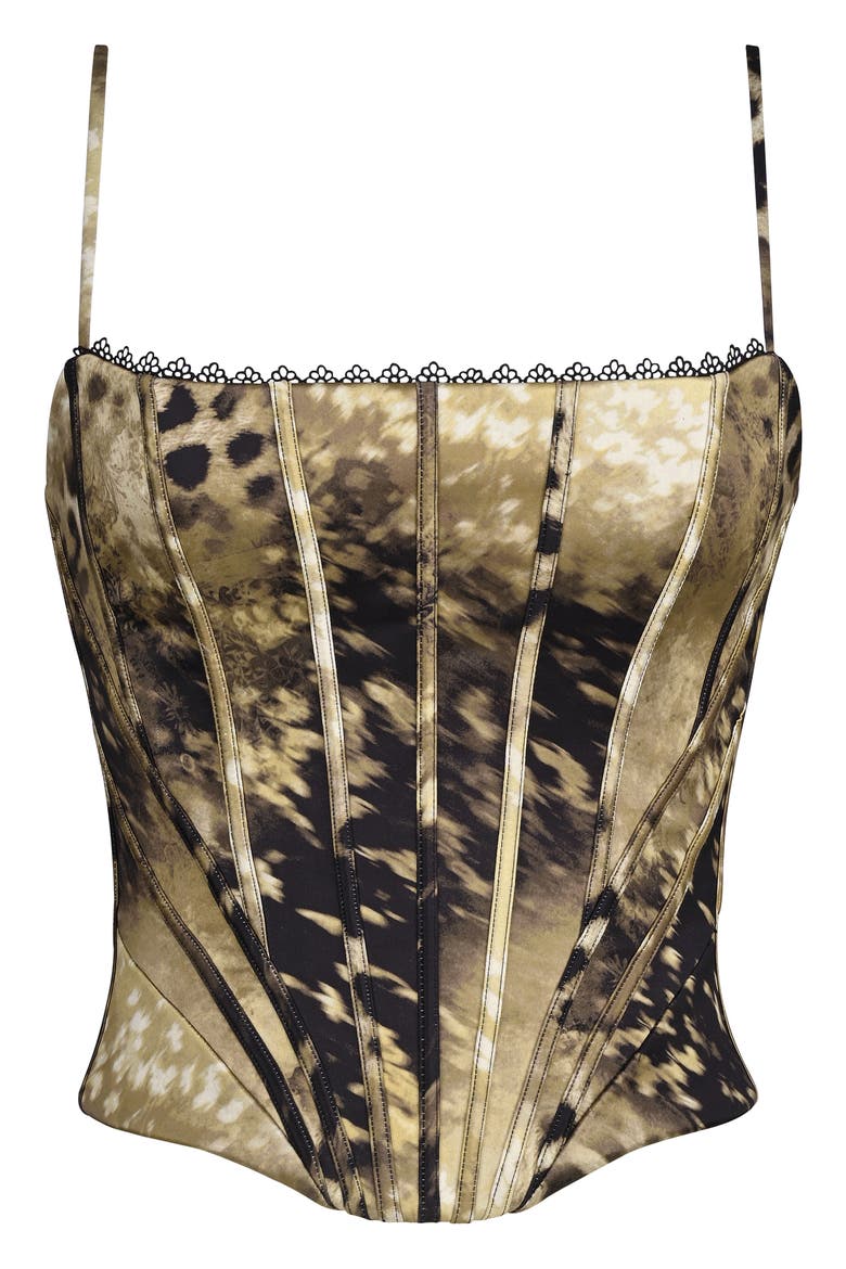 Cadie Leopard Corset Top, Alternate, color, LEOPARD