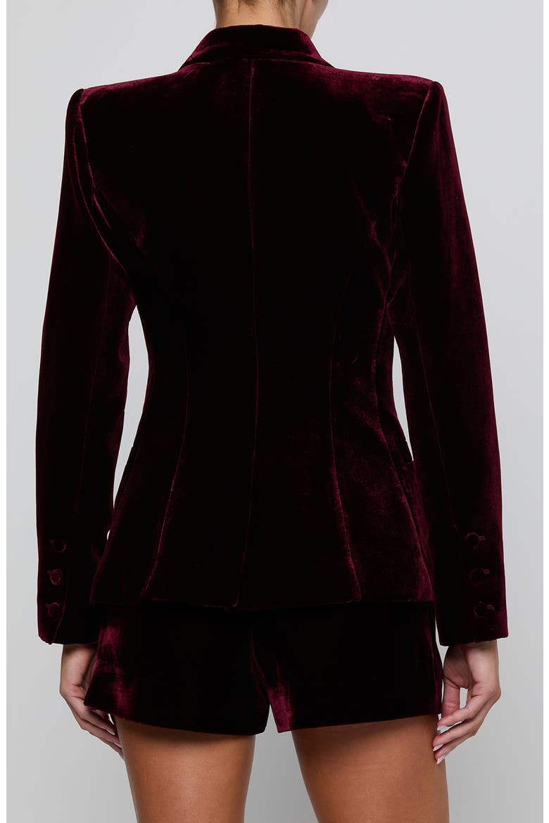Kyomi Velvet Double Breasted Blazer, Alternate, color, DEEP PORT
