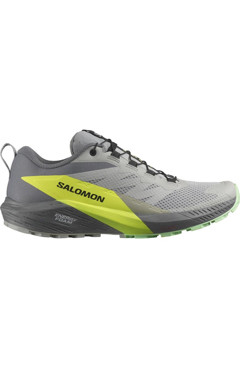 Salomon Sense Ride 5 Running Shoe, Alternate, color,