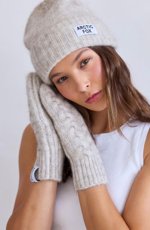 Arctic Fox & Co. Arctic Fox & Co The Mohair & Merino Wool Blend Mittens In Neutral