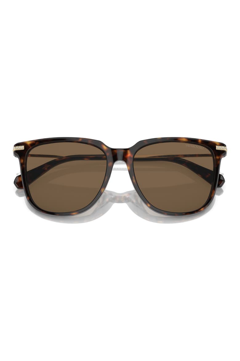 55mm Square Sunglasses, Alternate, color, DARK HAVANA / BROWN