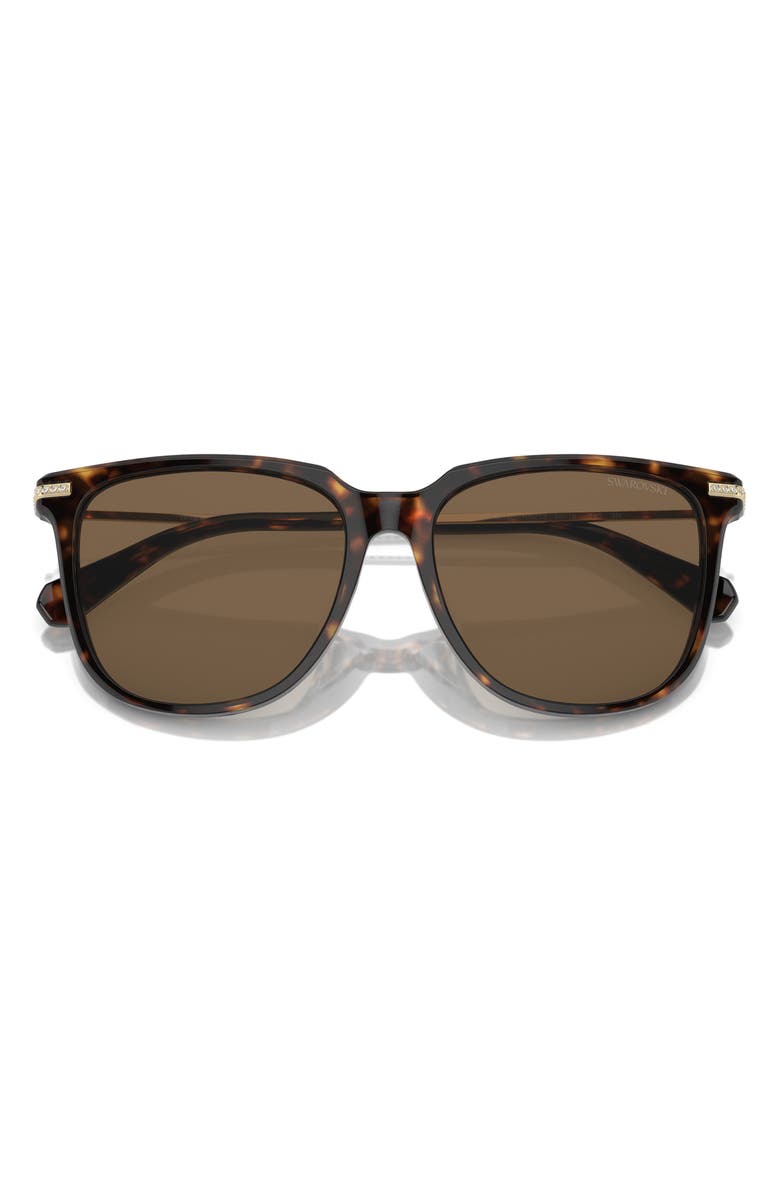 Swarovski 55mm Square Sunglasses, Alternate, color, Dark Havana / Brown