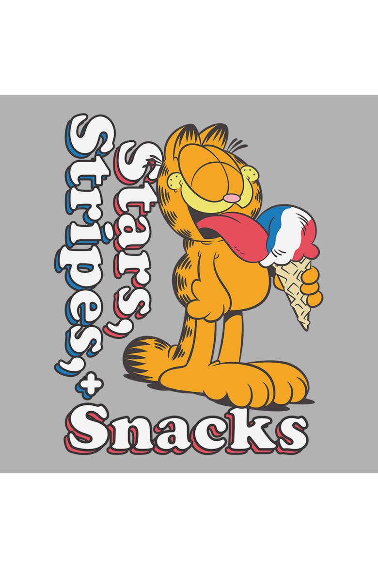 Boy's Garfield Stars Stripes and Snacks  Graphic T-Shirt, Alternate, color, Sport Grey