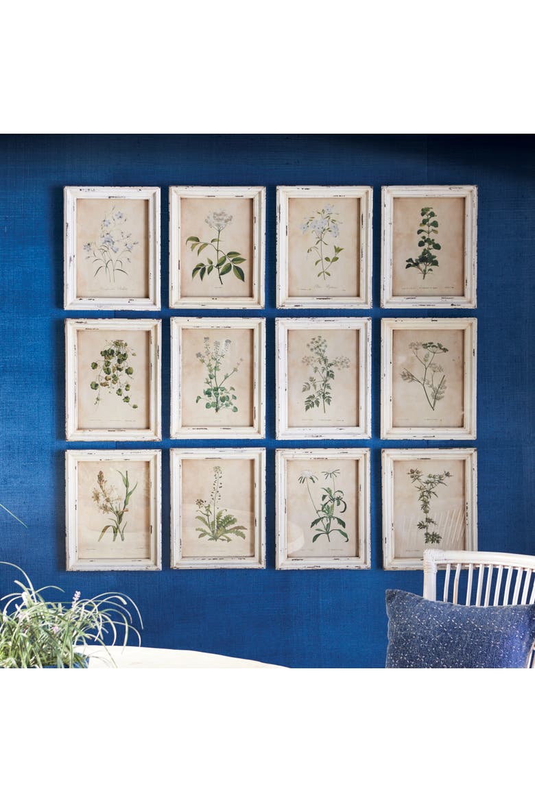 Framed Wild Flower Botanical Prints Set of 12, Alternate, color, Beige