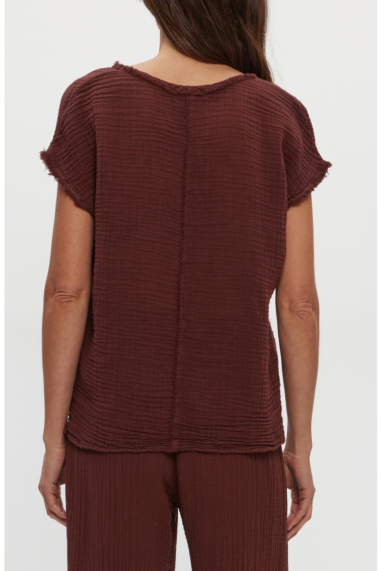 Draya V-Neck T-Shirt, Alternate, color, ESPRESSO