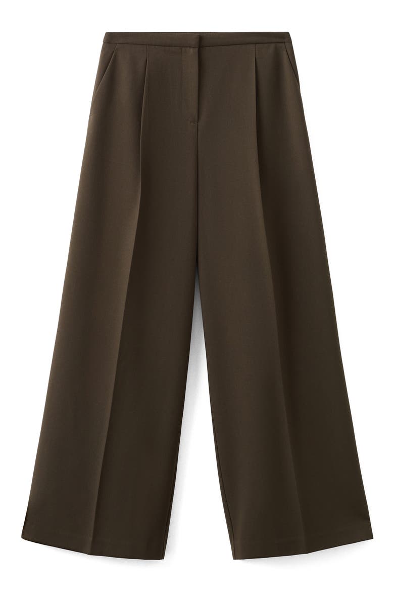 Pleated Wide Leg Pants, Alternate, color, CHOCOLATE