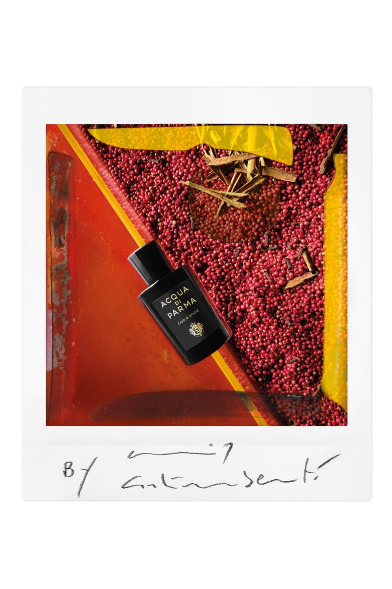 Signatures of the Sun Oud & Spice Eau de Parfum, Alternate, color, NO COLOR