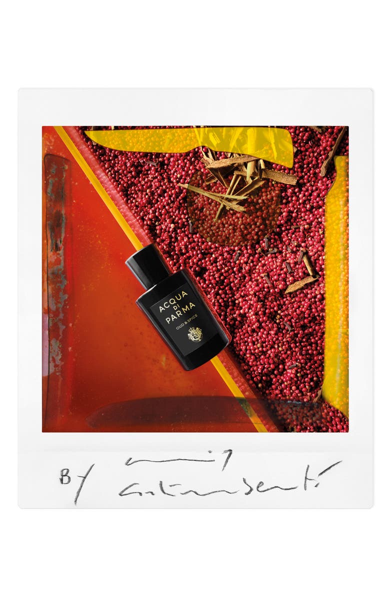 Acqua di Parma Signatures of the Sun Oud & Spice Eau de Parfum, Alternate, color, 