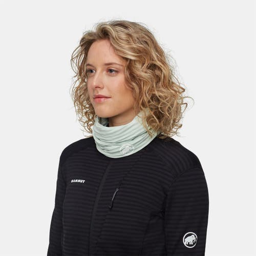 Mammut Taiss Light Neck Gaiter In Transparent