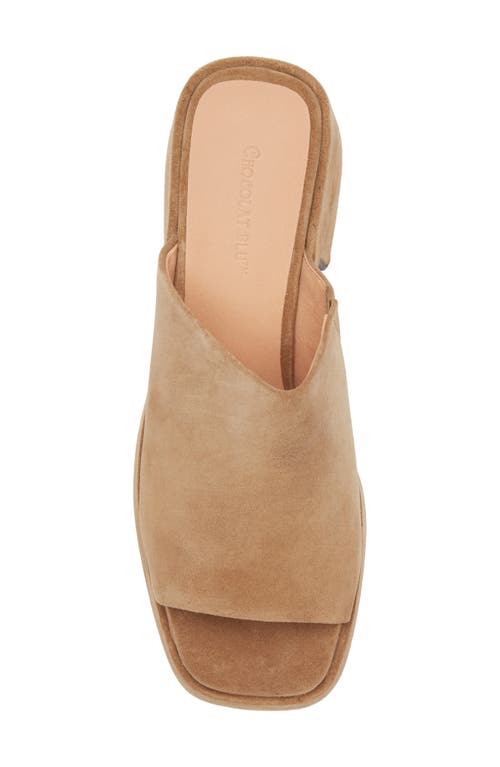 Chocolat Blu Huda Square Toe Sandal In Tan Suede