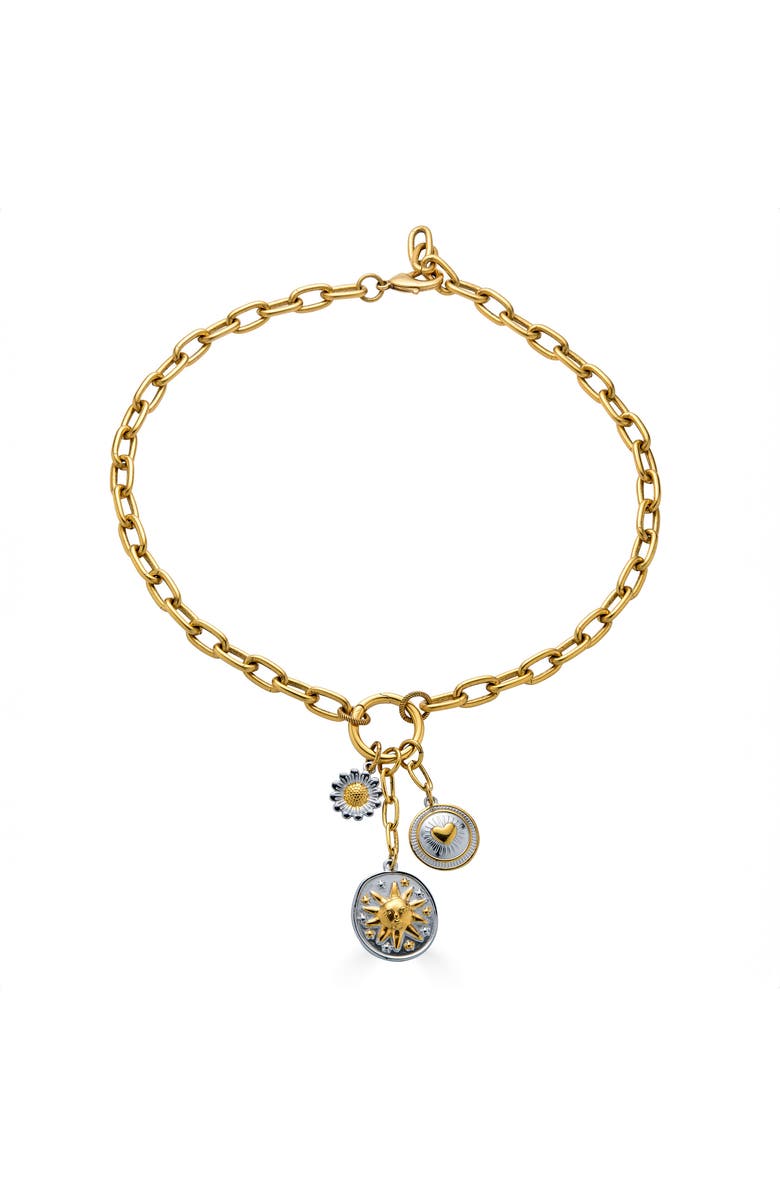 Loni Paul Jewelry Mixed Metal Charm Cluster Necklace, Main, color,