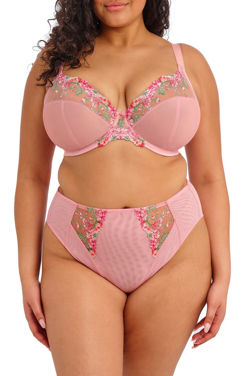 Elomi Aerith Embroidered Briefs, Alternate, color, Rose