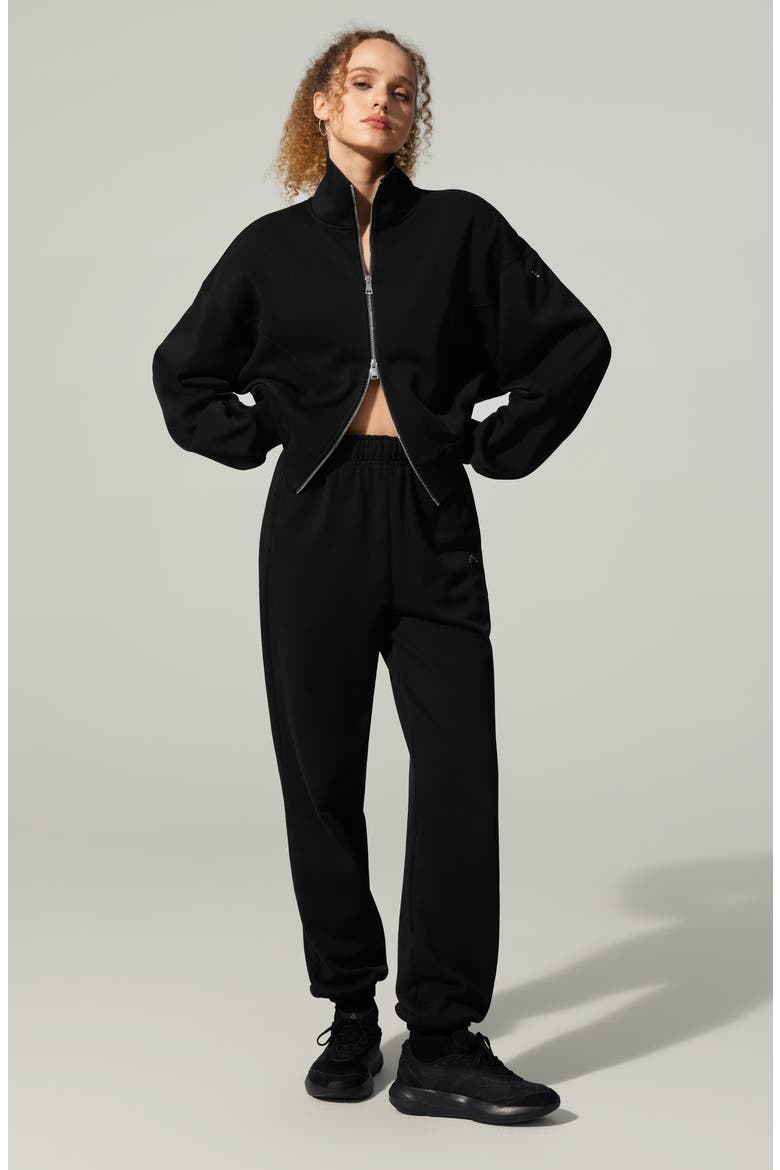 SILKERRY Oversized Heirloom '89 Zip Stand Collar Jacket, Alternate, color, Black