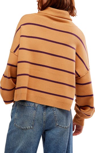 Paulie Stripe Turtleneck Sweater