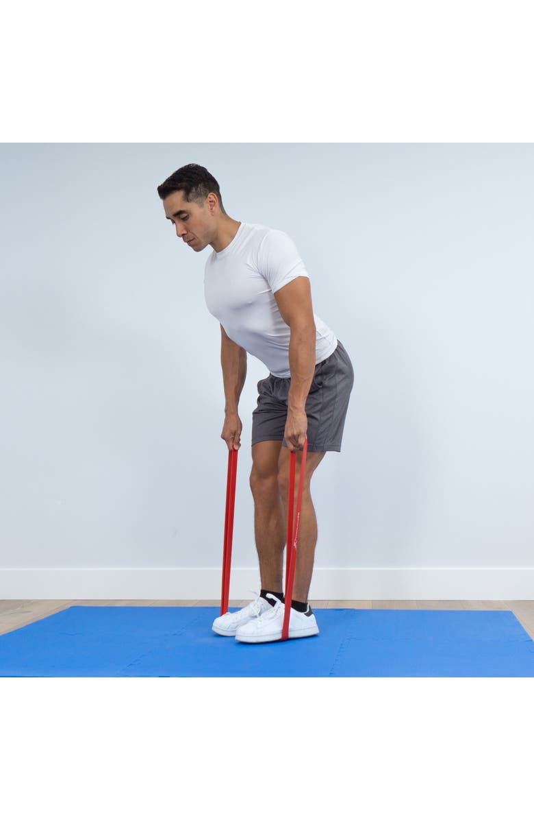 ProsourceFit XFit Loop Resistance Bands, Alternate, color, 