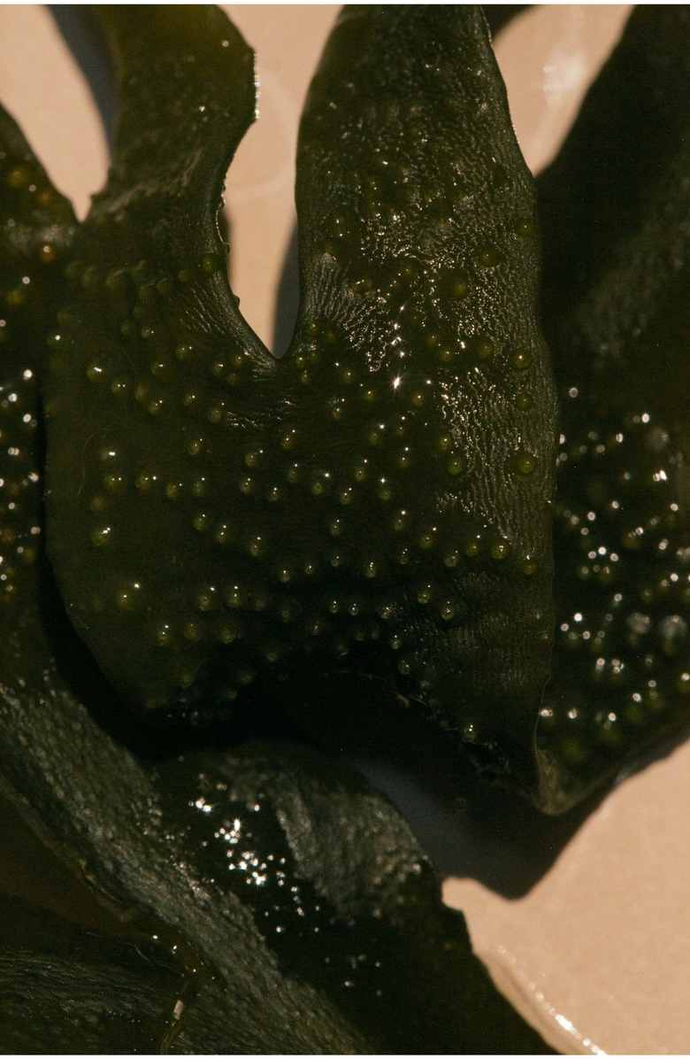 Summer Solace Tallow Sea Change Seaweed Bar Soap, Alternate, color, Teal + White