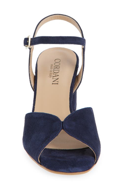 Cordani Ingrims Ankle Strap Sandal In Navy