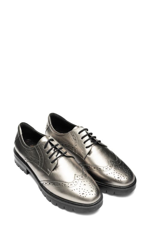 Ara Clementine Wingtip Derby In Brown