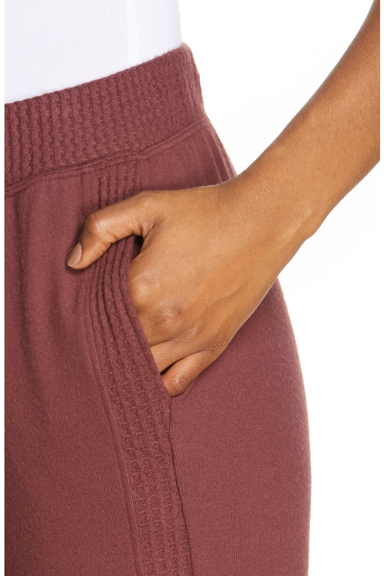 Side Stripe Joggers, Alternate, color, COFFEE BERRY