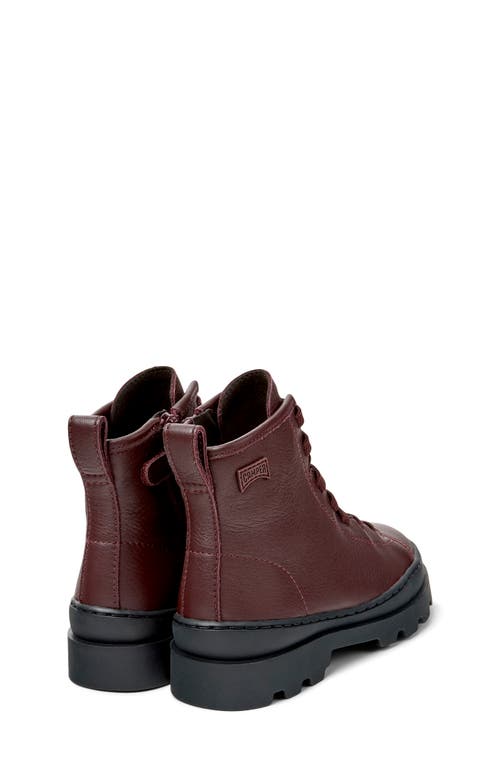 Camper Brutus High Top Sneaker In Burgundy