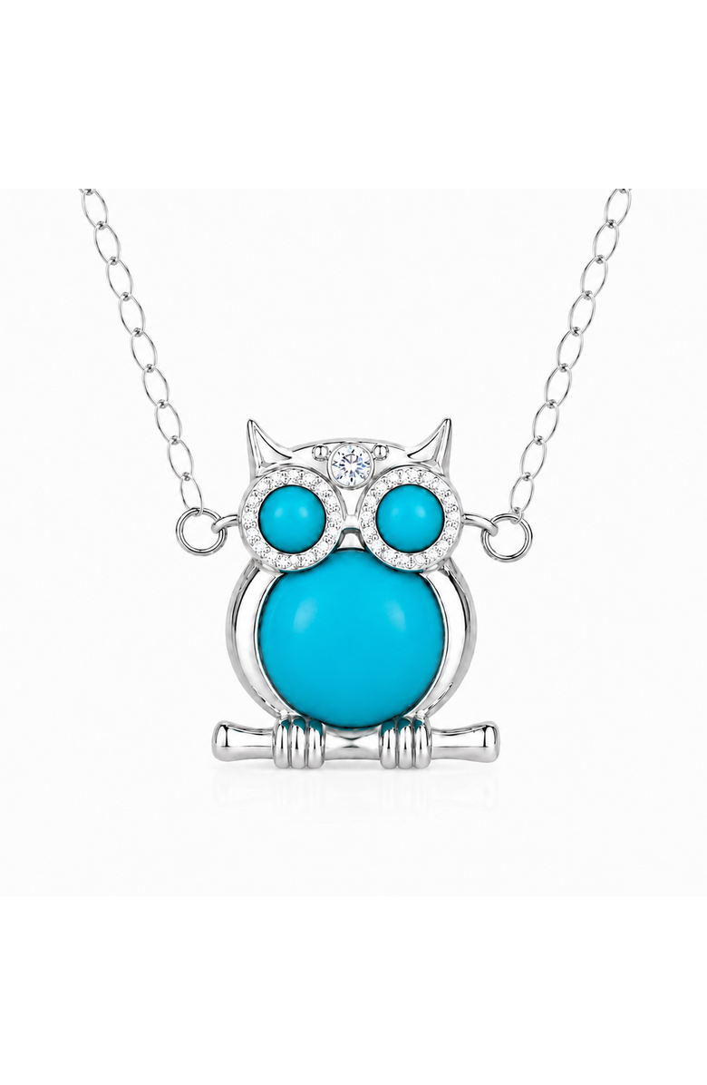 Donatello Gian Owl Turquoise Necklace, Main, color, Silver