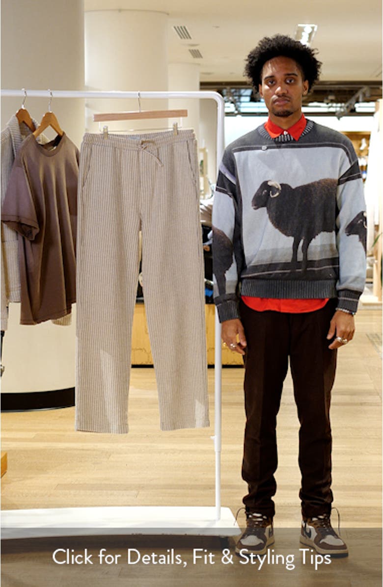Sorrento Pinstripe Cotton & Linen Drawstring Pants, sales video thumbnail