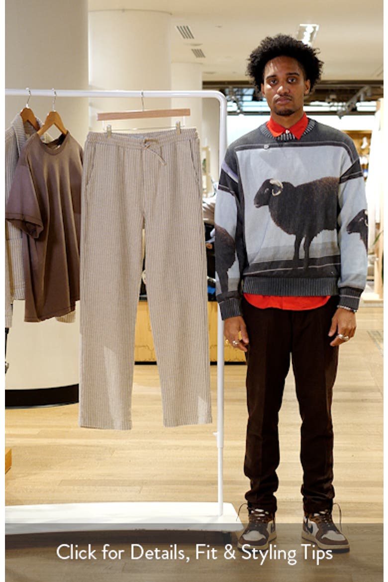 Sorrento Pinstripe Cotton & Linen Drawstring Pants video