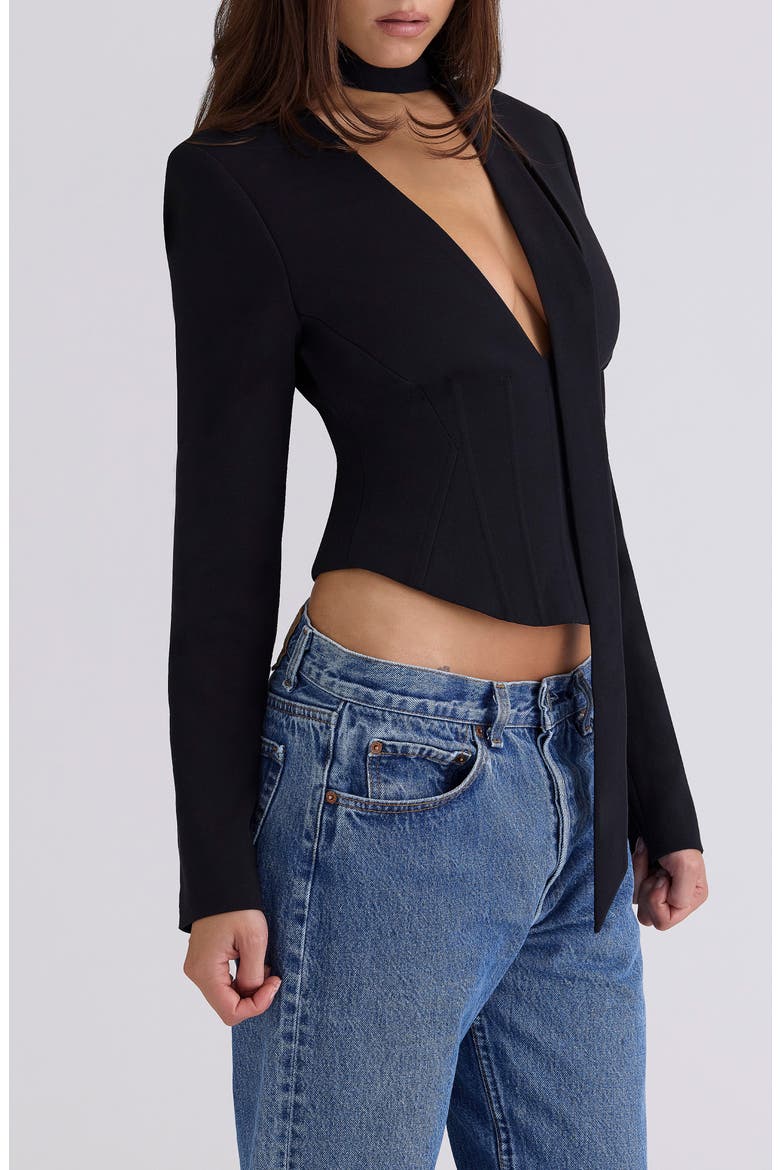 Danya Corset Crop Top, Alternate, color, BLACK