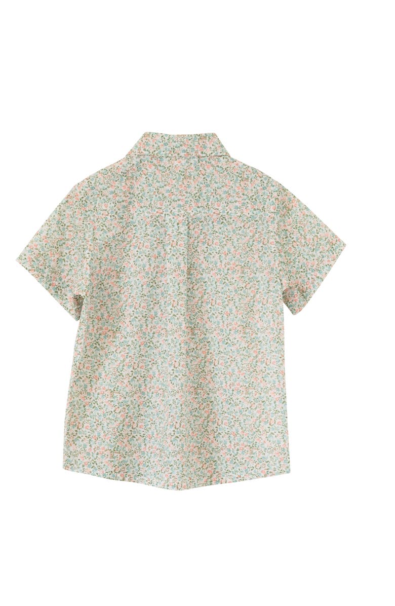Beet World Boys Collar Shirt, Alternate, color, Pastel Green And Peach