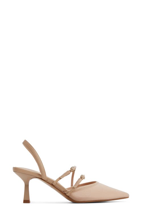 Shop Aldo Renesme Pointed Toe Slingback Pump In Beige