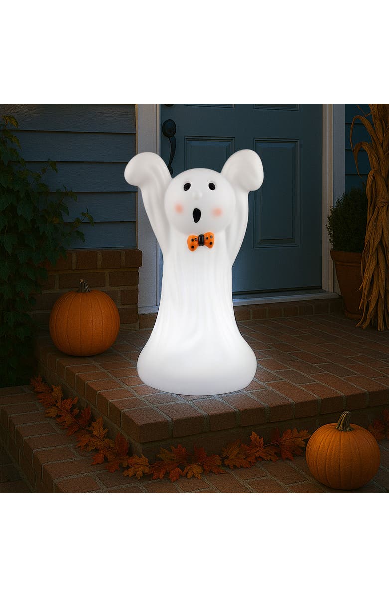 Mr. Halloween 24 in. Outdoor Ghost Lit Blow Mold, Alternate, color, Multicolor