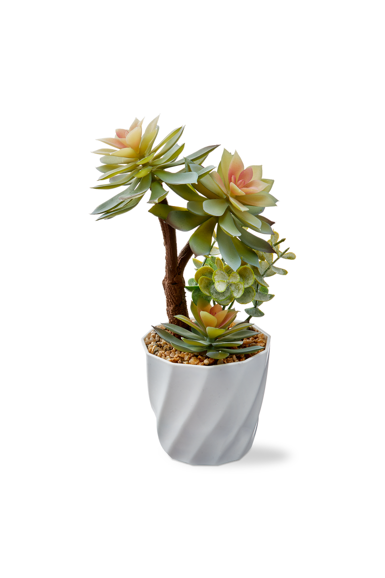 Tall Faux Succulent Pot Multi 5.51x5.51x7.87 in Botanicals, Main, color, Green