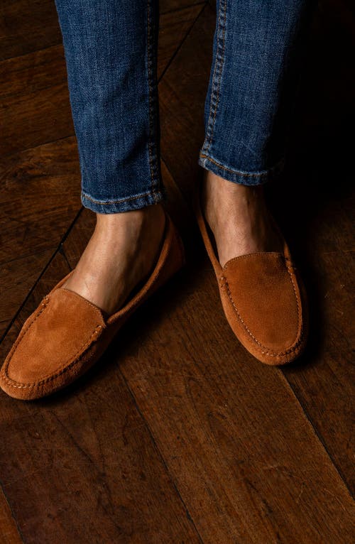 Patricia Green 'jillian' Loafer In Brown