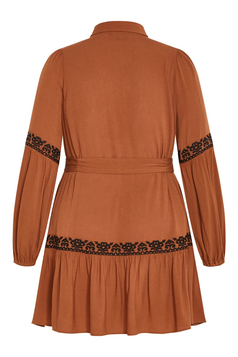 Marlie Long Sleeve Embroidered Minidress, Alternate, color, CARAMEL