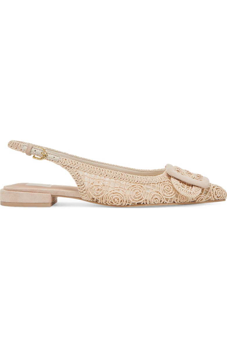 Dolce Vita Pauley Pointed Toe Slingback Flat, Alternate, color,