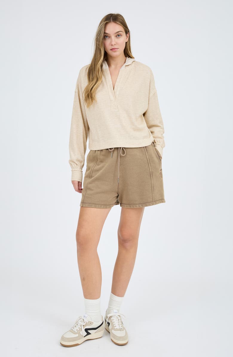 Blu Pepper Solid Hooded Henley, Alternate, color, Taupe